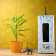 Song of India – The Vibrant Purifier for Luck & Success - Image 3
