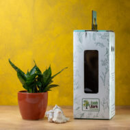 Snake Plant – The Indestructible Oxygen-Booster & Luck Magnet - Image 2